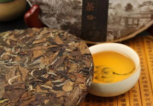 
秋白茶淳和，春白茶清丽，处暑时节，你喝茶了吗？
